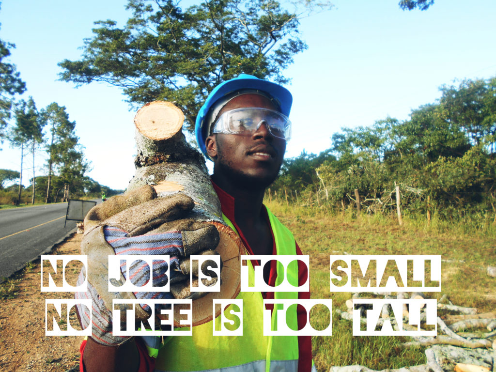 No job is too small, no tree is too tall