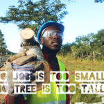 No job is too small, no tree is too tall