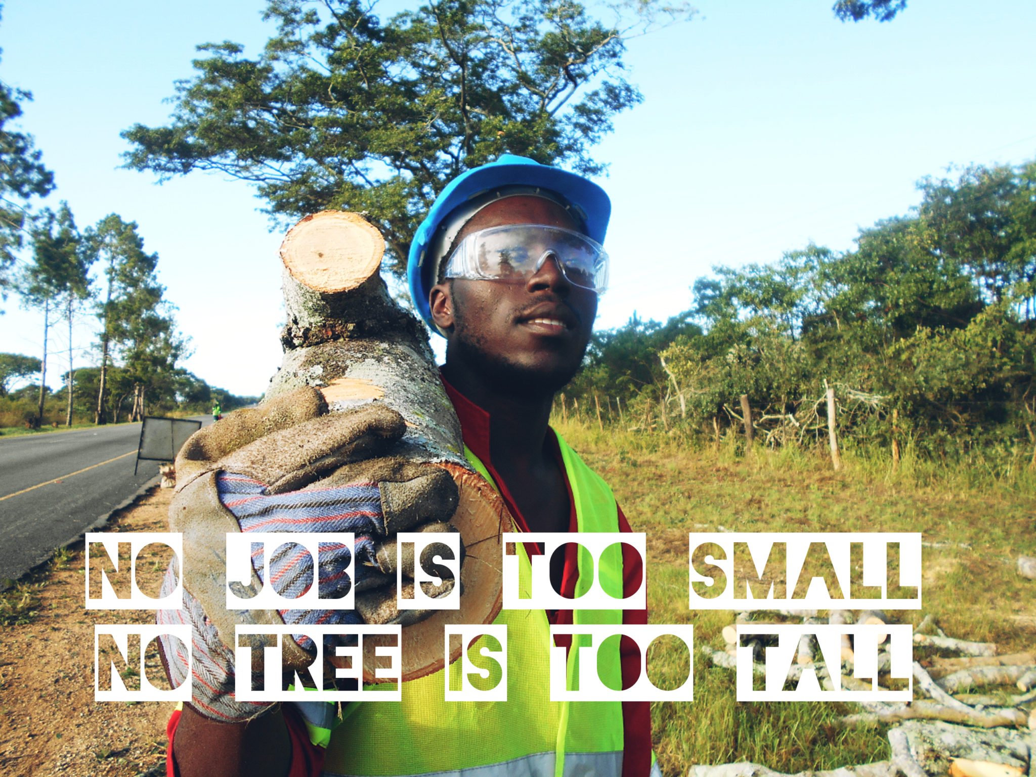 tree cutting