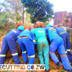 Tree Cutting Professionals Pushing Logs
