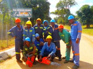 tree cutting service team on the Muriel Job